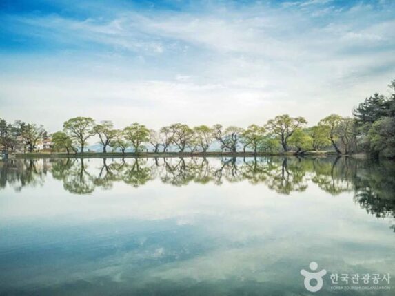 경산 가볼 만한 곳, 풍경 좋은 자연명소 정리