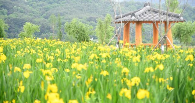 거창 가볼 만한 곳, 사진 남기기 좋은 명소 정리