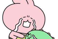 가짜 마리모?와 3년을 함께한 사람의 후기 (feat.왜그래 막시무스?)