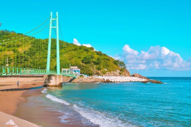 경북 울진 망양정,영덕 블루로드에서 푸른 동해바다 매력에 풍덩!