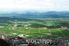 철원 가볼 만한 곳, 고요한 자연 속 걷기 좋은 산길