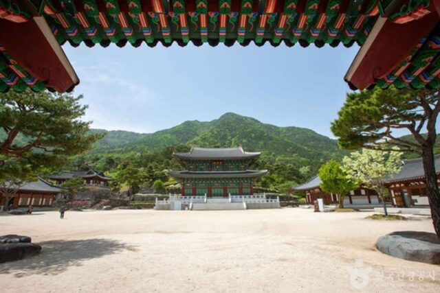 산청군 가볼 만한 곳, 아이들과 떠나는 과학·전통 여행