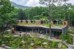 수락 휴(休), 서울에서 처음 선보이는 ‘자연휴양림’