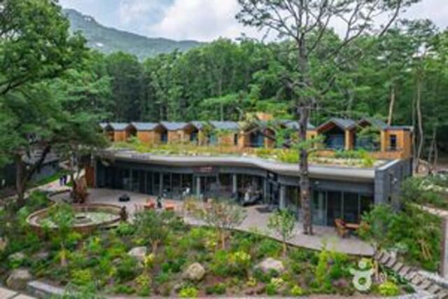 수락 휴(休), 서울에서 처음 선보이는 ‘자연휴양림’