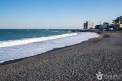 울산 동구 가볼 만한 곳, 바다 보며 힐링하는 명소 4곳