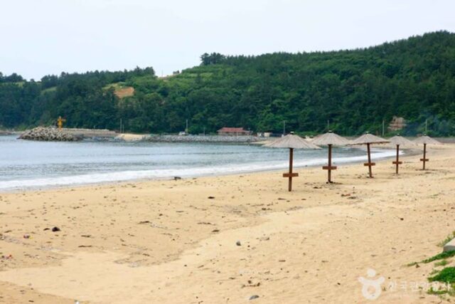 고흥 가족 나들이로 좋은 여름피서 해변 명소