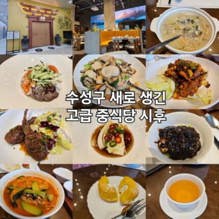 대구 수성구 중식당 시후 디너 코스 다이닝