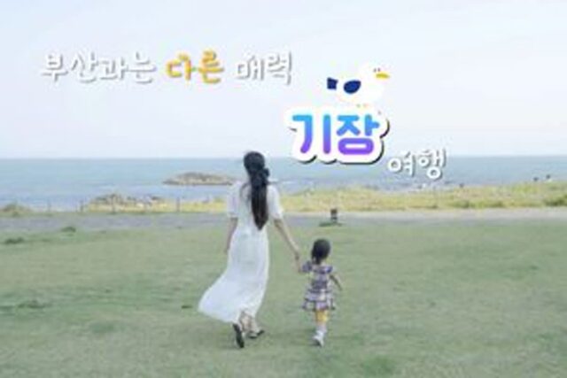기장 가볼 만한 곳 5 부산 여행의 ‘감각적’인 매력