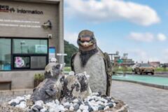 강화도 여행 베스트 4 신경 많이 쓴 흔적이 고스란히 느껴지는 명소 추천