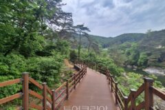 수십년간 통행 제한 ‘제천 탁사정 산책로’ 개방…직접 걸으며 아름다움 느껴보세요!
