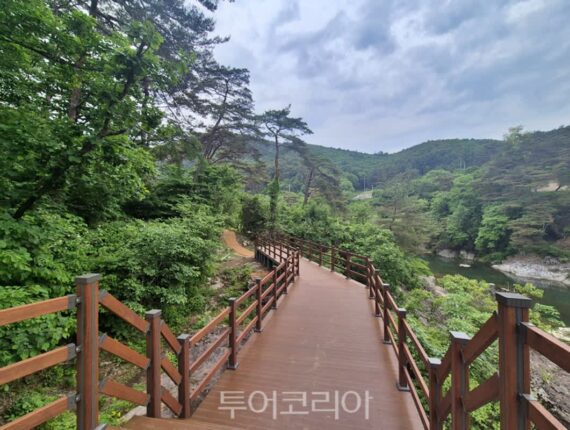 수십년간 통행 제한 ‘제천 탁사정 산책로’ 개방…직접 걸으며 아름다움 느껴보세요!