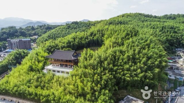 담양 가볼만한곳, 푸른 대나무 숲과 메타세쿼이아 길의 낭만