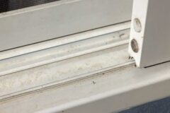 “부엌 창틀에 ‘이 가루’ 뿌려보세요” 여름 벌레 싹 사라집니다!