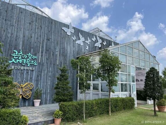 용인 가볼만한곳, 곤충 체험부터 팜스테이까지 온 가족 나들이