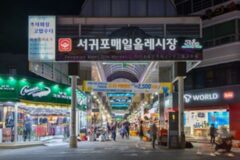 서귀포 매일 올레 시장, 제주 여행의 필수코스(+제주 먹거리, 꿀팁)