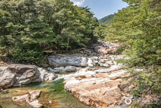 산청 가볼만한곳, 지리산의 정기와 한방 힐링이 어우러진 여행