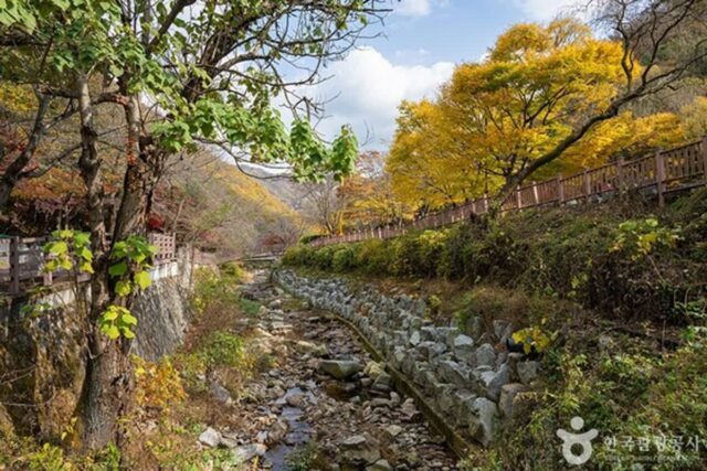 동두천 가볼만한곳, 소요산의 비경과 자유수호평화박물관에서 역사 탐방