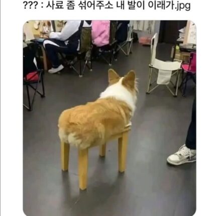 ???:사료 좀 섞어주소