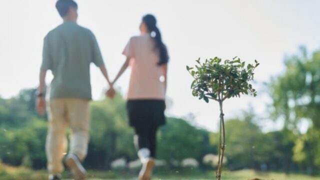 “연상·연하 커플 ‘나이차’가 더는 장벽이 아니다”… 달라진 한국 결혼 풍경