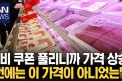 소비 쿠폰으로 인해 가격 상승을 한 거 같다는 일부 시민들