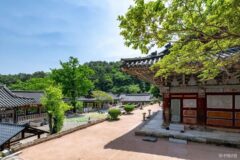 산청 가볼만한곳, 지리산 둘레길의 낭만과 계곡의 평화로움