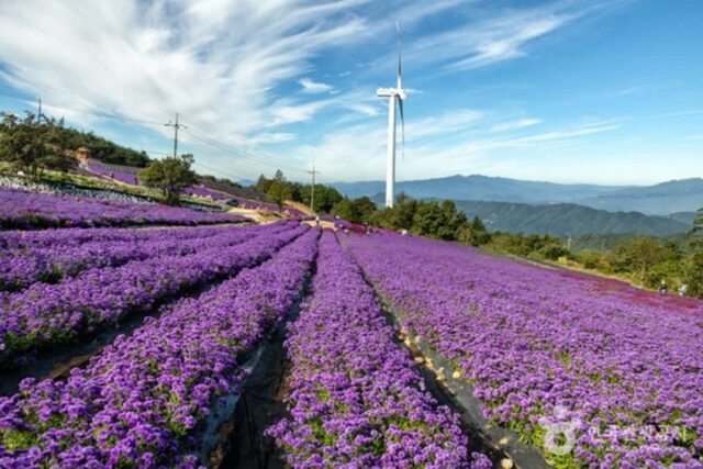 거창 가볼만한곳, 감악산의 웅장함과 별바람 언덕의 낭만