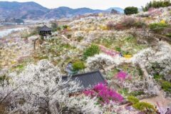 전남 가볼만한곳, 신비로운 섬과 아름다운 해안선 따라 즐기는 남도 여행