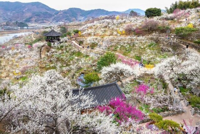 전남 가볼만한곳, 신비로운 섬과 아름다운 해안선 따라 즐기는 남도 여행