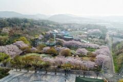 김포 가볼만한곳, 아이와 함께 즐기는 자연 학습과 문화 탐방
