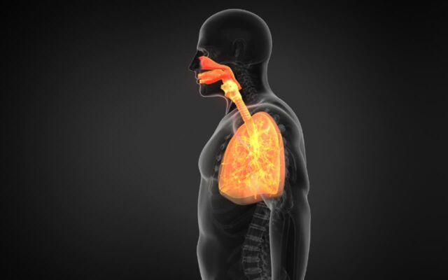 폐암 환자 80%가 겪었다는 초기에 나타나는 ‘이 냄새’ 그냥 넘기지 마세요
