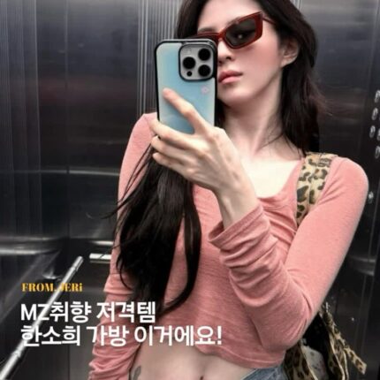 (이 가방 뭐야?) 한소희 때문에 또 난리난 가방, 세이모온도 르벨트백