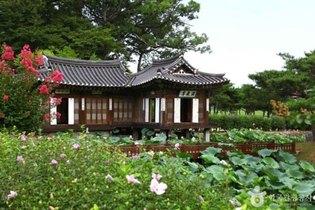 강릉 가볼 만한 곳, 전통과 자연이 어우러진 관광 명소