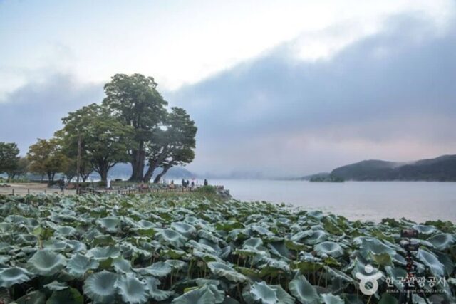 양평 가볼만한곳, 용문산의 기상과 두물머리의 낭만이 어우러진 여행