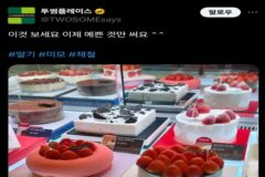딸기 우람하다고 온동네 놀림당한 투썸 케잌