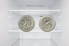 ‘동전으로 이렇게 하면’ 냉장고 상태 1초 만에 알 수 있습니다!