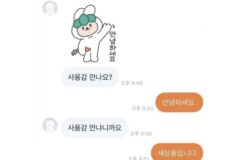 당근마켓에 등장한 대답빌런
