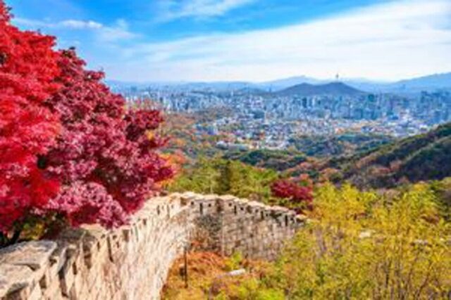 인왕산 등산 코스 | 등린이도 도전할 수 있는 서울 풍경 좋은 곳