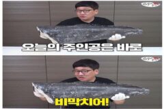 맛있어서 멸종까지 될 뻔했었다는 생선