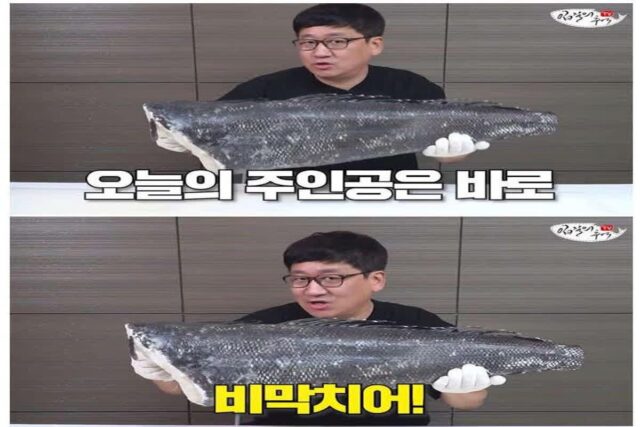 맛있어서 멸종까지 될 뻔했었다는 생선