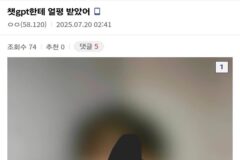 챗지피티한테 외모 평가 받은 디시인