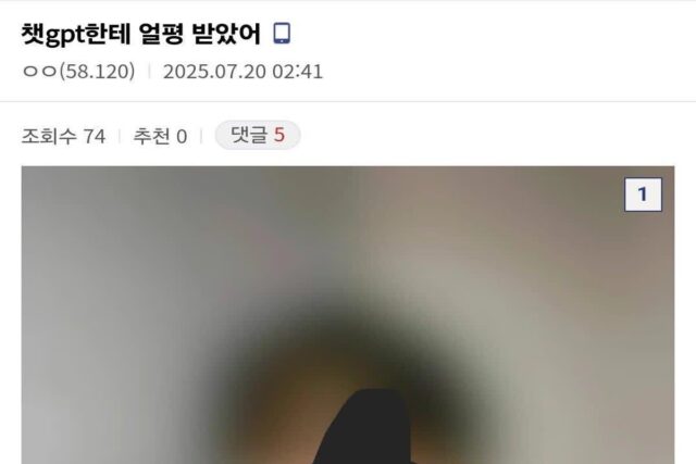 챗지피티한테 외모 평가 받은 디시인