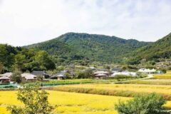 강원도 고성 가볼만한곳, 왕곡마을의 전통과 동해안의 낭만