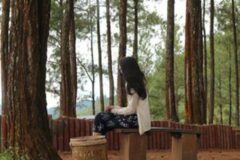 동두천 자연 휴양림 | 서울 근교 힐링 하기 좋은 곳 추천