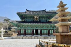 영암가볼만한곳 산과 사찰 따라 걷는 힐링 코스