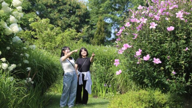비공개 정원 한시개방…광복 80주년 맞아 무궁화 축제 여는 천리포수목원