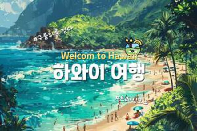 하와이 가볼 만한 곳 베스트 6 미국은 모든게 크다