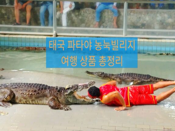 농눅빌리지 파타야 자유여행 주목 핵심 코스 총정리