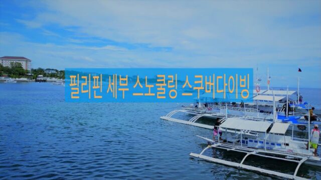 세부 스노쿨링 총정리 스쿠버다이빙부터 오슬롭 고래상어 투어 포함