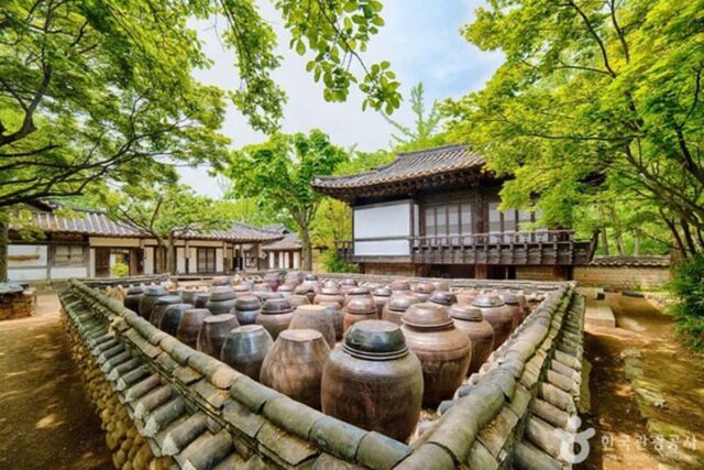 용인 가볼 만한 곳, 문화와 자연이 어우러진 도시