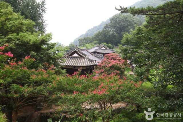 밀양 가볼 만한 곳, 힐링과 체험이 있는 여행 코스